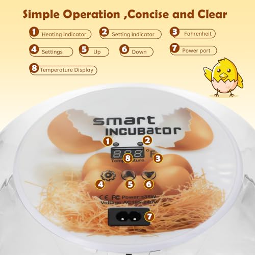 Egg Incubator for Hatching Chicks, Automatic Egg Turner Holds 12 Eggs, Smart Incubator 360° Clear Window with Temperature Display Egg Candler for Small Poultry Chickens Ducks Quails Eggs