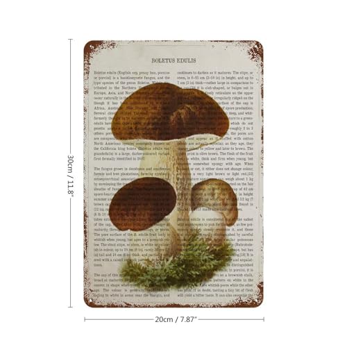 Encuentra la mejor selección de Boletus edulis que puedes comprar esta semana. 16 Imagen adicional