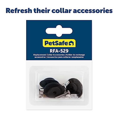The 29 Best PetSafe Dog Collars of 2024 [Verified] - Cherry Picks