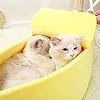 WXBDD-Cute-Banana-Bed-House-Super-Soft-Pet-Kennel-Dog-Warm-Sleeping-Basket-Kitten-Comfort-Cushion-For-Cats-Portable-Cozy-Cave-Color-black-JoJos-Bizarre-Adventure1-Size-X-Large WXBDD Cute Banana Bed House: Super Soft Pet Kennel for Cats and Dogs