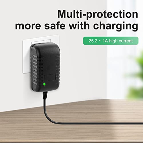 24V~25.2V 1A Massage Gun Charger For 24V Muscle Massage Gun #TOP5