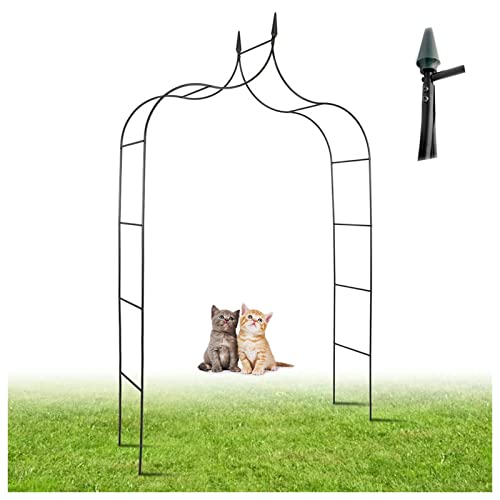 Arche de jardin résistante aux intempéries avec treillis en fer