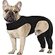 Hundebody Nach Op Body Hund, Wundschutzanzüge für Hunde, Anti-Wundlecken Op Mit Bein, Kniebandage Hund Hinterbein Genesungsanzug für Hundekragen Alternative Schutz Bodysuit (Schwarz, L)