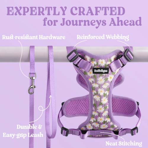 Image of rabbitgoo Cat Harness and Leash Set, Escape Proof Vest, Purr-ple Daisy | Soft Breathable Mesh, Easy Adjustable Fit, Snap Buckles, Sturdy Clip, Reflective Strips, for Medium to Large Cats Walks, M