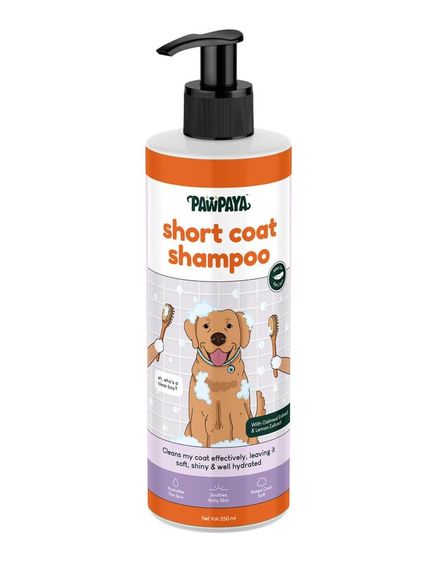 Buy Grooming Combo of Pawpaya Short Coat Dog Shampoo Safe & Natural Ingredients Like Oatmeal