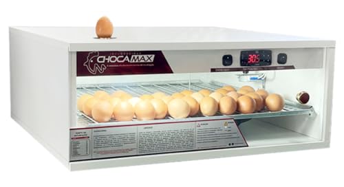 Chocadeira 80 A 90 Ovos Com Ovoscópio Automática Digital