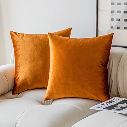 Demetex Juego de 2 fundas de cojín de terciopelo de 45 x 45 pulgadas, fundas de cojín cuadradas modernas para cama, sofá, fiesta, Acción de Gracias, 45 x 45 cm, color cobre