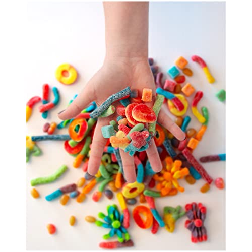 Trolli Gummy Awesome Animal Variety Mix, Pack Of 4-1 Of Each (Sour Brite Llamas, Sour Brite Crawlers, Sour Brite Octopus, Sour Watermelon Sharks) #TOP5
