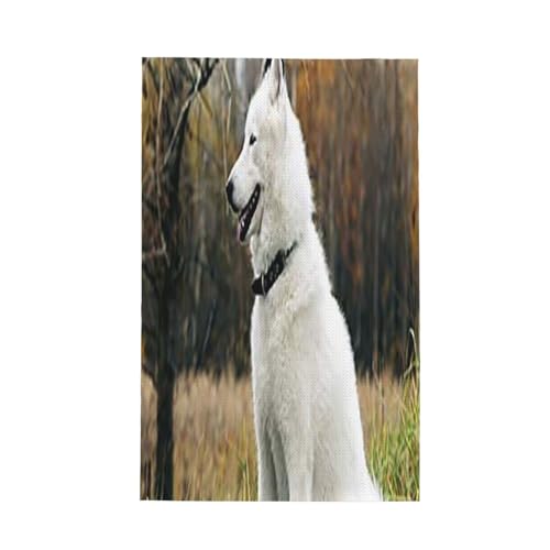 btLb`^I̓}CNt@Co[ŁAzEERېɗDĂ܂ȉ̃n[hAbNnXL[j