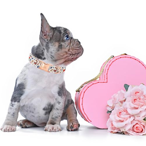 Collier pour chien motif rose édition Saint-Valentin sangle réglable souple