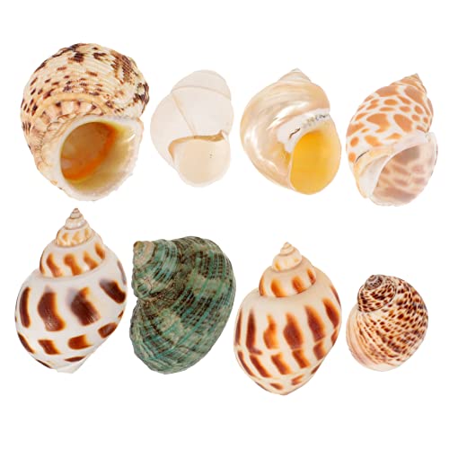 SUNCN 8 i`L L̐̑ }[Che[ufR[V VF̑ Lk r[`EFfBȎ p̖@L قL̏ R` -