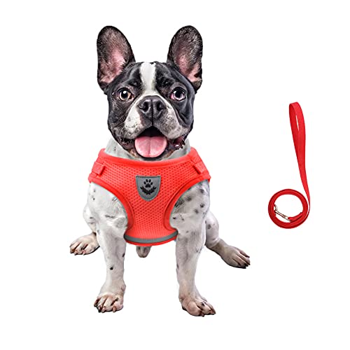 Image of FEimaX Dog Harness and Leash Set for Walking, Soft Mesh Adjustable Easy Control Lightweight Cat Vest Harnesses with Reflective Strips, Escape Proof Small Dogs Cats Vests (Red, Large)