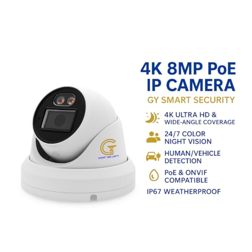 Facial recognition camera Hikvision