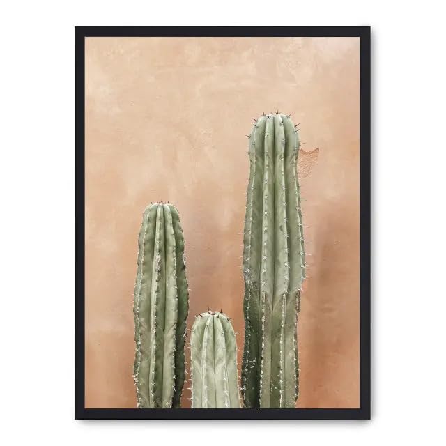 Cuadro cactus terracotta background i_FASE5 moderniser mur blanc
