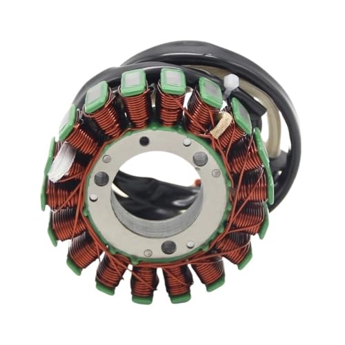 Bobine de stator pour moteurs magnéto MXR 4011866 pièce d'allumage pour moto