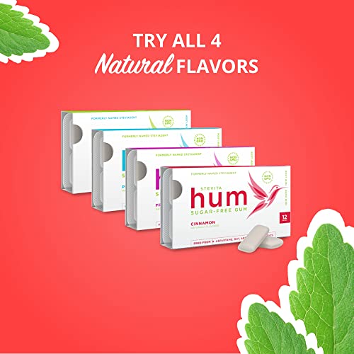 Stevita Hum, Spearmint - Sugar-Free Gum - 12 Pieces, Pack Of 12 - Supports Oral Health - Non-Gmo, Vegetarian, Keto, Gluten Free - 72 Total Servings #TOP5