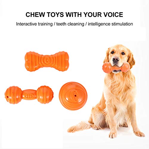 POPETPOP 3 PeÃ§as de Brinquedo para Mastigar Osso de Cachorro Pet Brinquedos de Mordida Estridente F