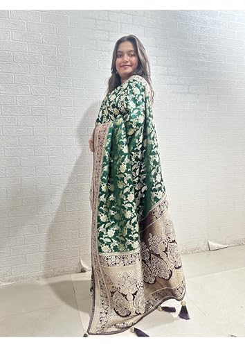Image of Women's Banarasi Silk Georgette Saree Featuring Silver Sequin And Mirror Work