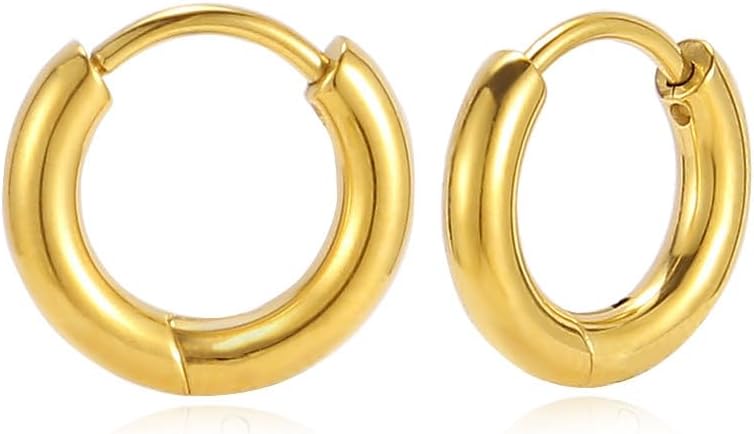 BLISI G23 Titanium Hoop Earrings, Hinged Huggie Hoop Earrings for Lobe Cartilage 8mm/10mm/12mm Hypoallergenic Lightweight Huggie Hoops Earring with 14K Gold Plated Earrings for Women Men