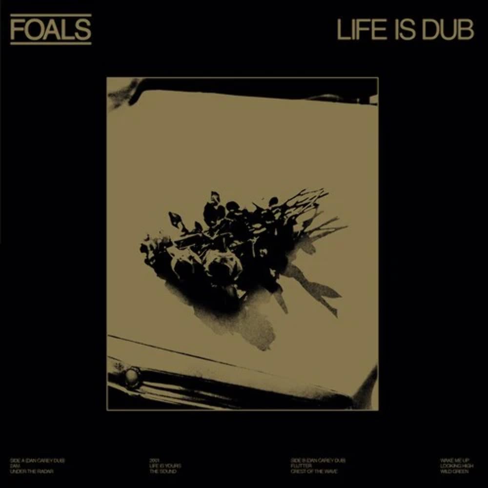 Life Is Dub [VINYL]