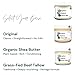 Camphor+Eucalyptus+Menthol Plant Based Xtra Rub with Organic Shea Butter – Handmade with Menthol, Camphor & Eucalyptus – Soothing, Refreshing & Moisturizing – 2.5 fl oz