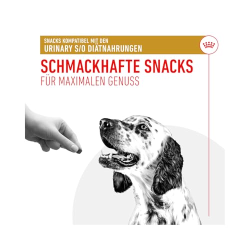 Royal Canin Veterinary Urinary S/O Treats | 230 g | Snacks für Erwachsene Hunde Aller Größen & Rassen | Im wiederverschließbaren Beutel | Optimierter Mineralstoffgehalt
