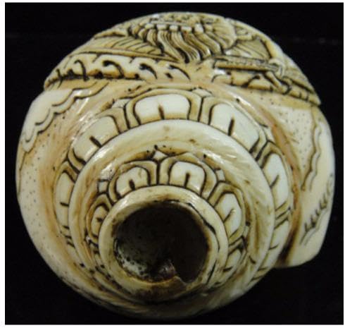 チベット密教法具 法螺貝シャンカクルックラー(赤ターラー