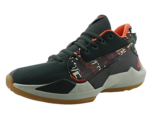 Nike Big Kids Zoom Freak 2 Basketball Shoes