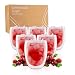 Produktbild Exitoso Doppelwandige Latte Macchiato Gläser | 330ml 6er gläser set | doppelwandige kaffeegläser | Borosilikatglas Kaffeetassen Glas | kaffeegläser cappuccino gläser