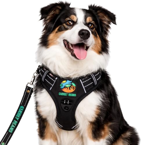 Image of Adjustable Padded Dog Harness with Leash, Black, M (16-24 kg)