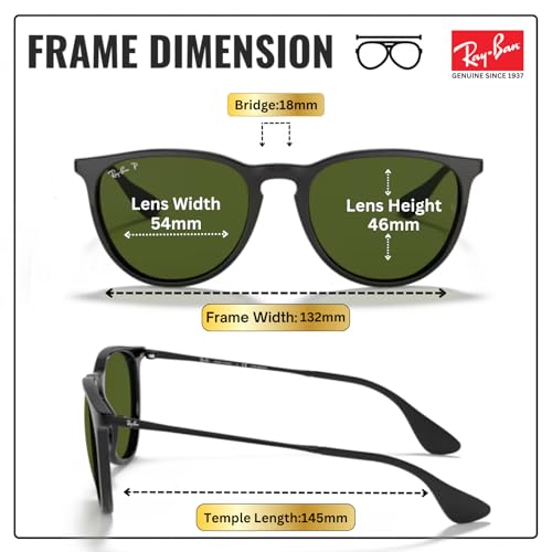Image of Ray-Ban RB4171 ERIKA CLASSIC Phantos Shaped Sunglasses for Women with Official RAYBAN Eyewear Kit