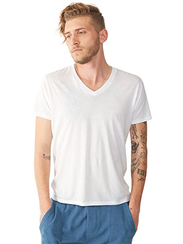 Alternative Men's Perfect V T-Shirt