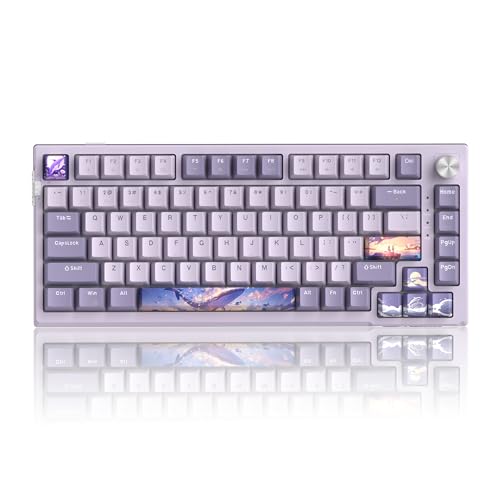 MageGee SKY81 75% Wireless Gasket Mechanical Gaming Keyboard, Hot Swappable RGB Custom Creamy Keyboard w/ 5-Layer Padding, BT/2.4G/USB-C, Knob Control, NKRO for Win/Mac (Dreamy Sky, Violet Switch)