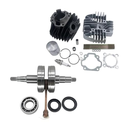 laiyonggr Kits de cigüeñal y cilindro compatibles con el motor de moto de cross Yamaha PW80