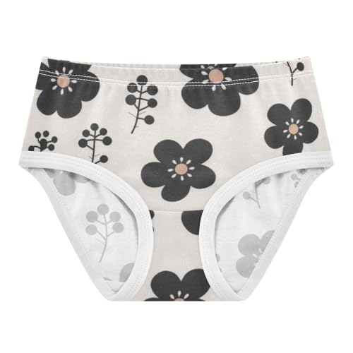 Underwear Daily Wear Panties Briefs Underwear for Young Girls in Sizes 2T,3T, 4T, 5T, 6Y and 8Y