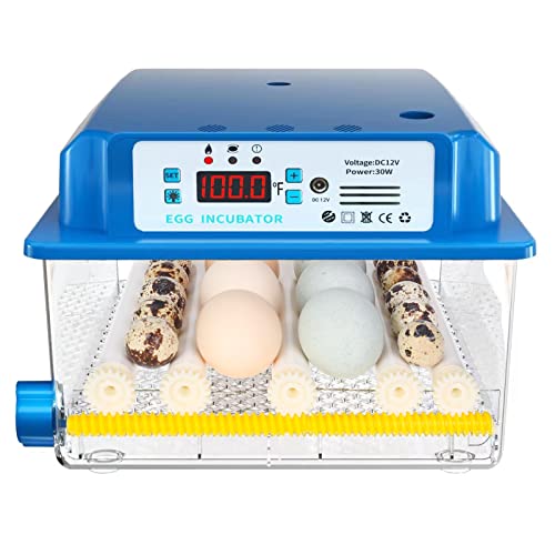 Top 10 Incubator For Quail Eggs of 2022 Katynel