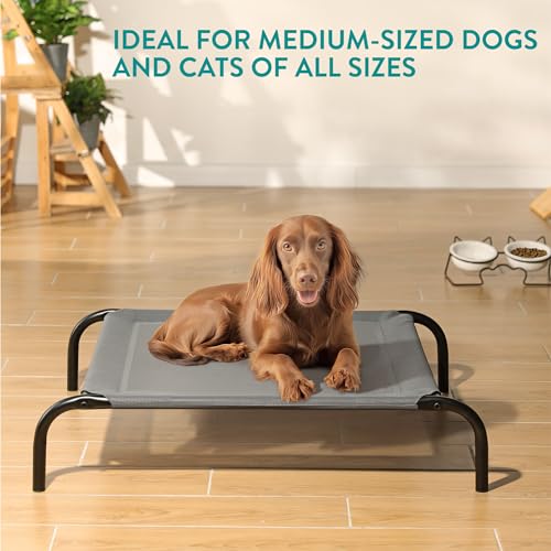 Navaris erhöhtes Hundebett mit Kühlungseffekt 90x64x20cm - Outdoor Hundeliege für Katzen und mittelgroße Hunde - Garten Haustierliege erhöht - Grau