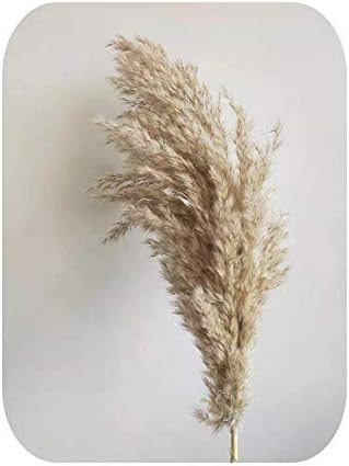 LAVOGUE 10Pcs Pampas Grass Bunch Large Dried Christmas Decorations for Home Wedding Flower Bunch Pampas Grass Natural…