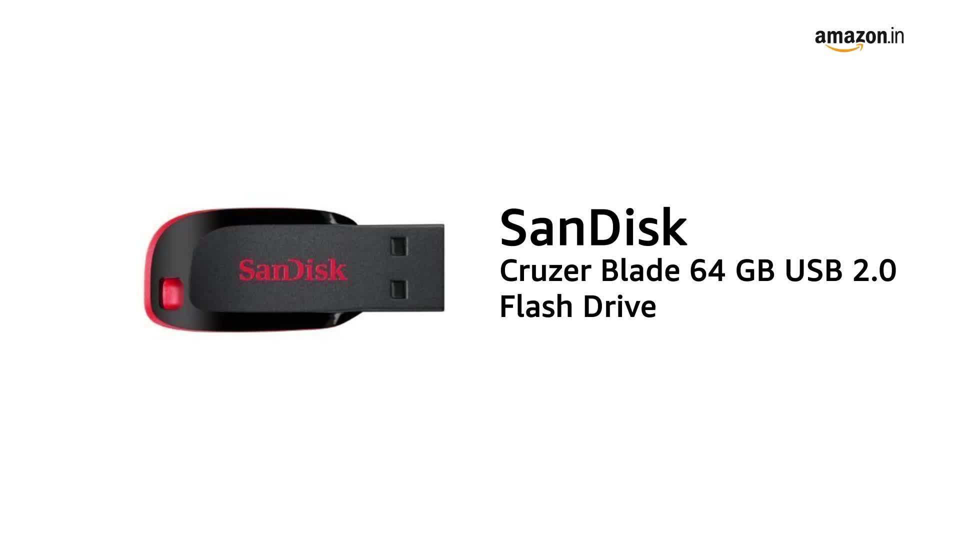 洋書 TWO S SANDISK Cruzer Blade 64GB, USB 2.0, Flash drive, Pendrive, Red, 5Y