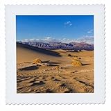Square dimensions (in inches): 25 L x 25 W, image dimensions (in inches): 23 L x 23 W 100% poloyester; image is soft to touch. Made in USA Edges have pinking shear cut Image will not fade with washing. Image not a transfer, part of material