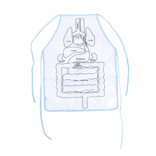 Modèle anatomique transparent avec tablier organes humains amovibles