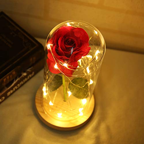 PIXNOR - flores de rosa de A Bela e a Fera, dura para sempre em redoma de vidro com luzes LED USB, m