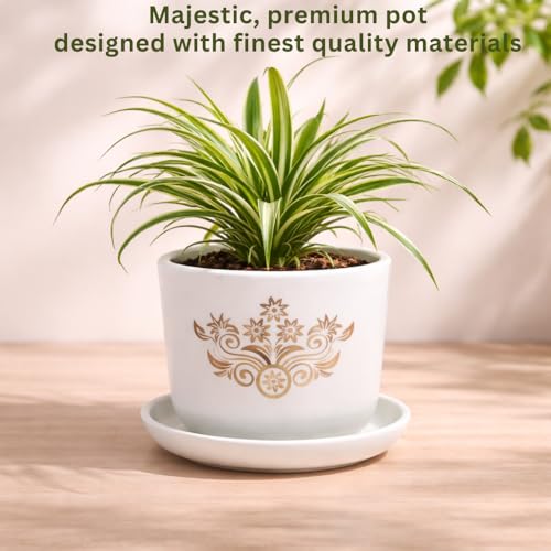 Image of Urban Upvan Terracotta Flower Pots for Garden, Dining Table & Home Decor | Elegant Planter for Living Room & Indoor Plants| White