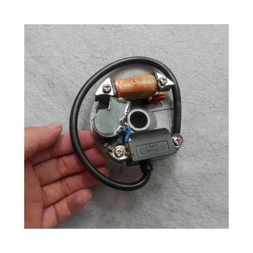 Plaque d'induit 1E45FP et module d'allumage pour atomiseur 3WF-18