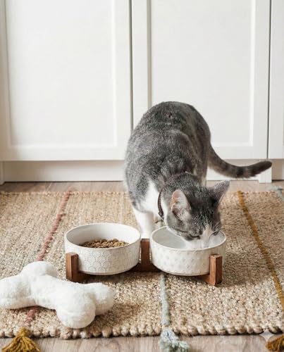 LE TAUCI Hundenäpfe für kleine Rassen, Hundenapf-Set mit Ständer aus Akazienholz, 1,5 Tassen, Futter- und Wassernapf für kleine Hunde und Katzen, beschwerter Hundenapf, Haustiernäpfe