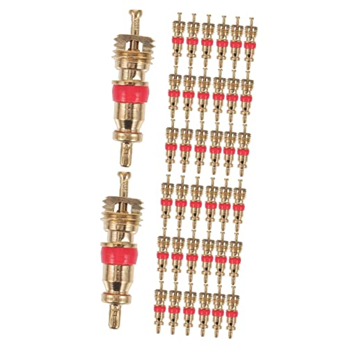 BESPORTBLE 100pcs Valve Cores for Replacement Stem Cores for Tubeless Conversion Compact Accessory for Daily Use Cycling and Garage Maintenance