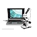 Celestron – 5MP CMOS Digital USB Microscope Imager – Digital Camera Captures Hi-Res Images and 30FPS Video – Perfect for Science Education and Classroom – Compatible with Mac OS and Windows