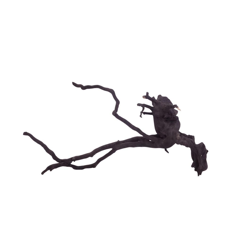 AquaOne XL Black Spider Wurzel Nr.3722 Aquarium Wurzel Holz Deko Aquascaping Dekoration Landschaft Moorkien Moorwood Redwood Mangrove Moos Natur Echtholz