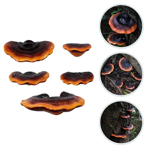 Figurines champignons Ganoderma réalistes lot de 5 décors de jardin durables - 8