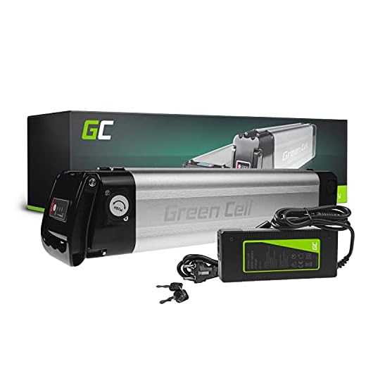 Green Cell GC® E-BIKE batteri 24 V 8,8 Ah Li-Ion silverfisk med laddare elcykel